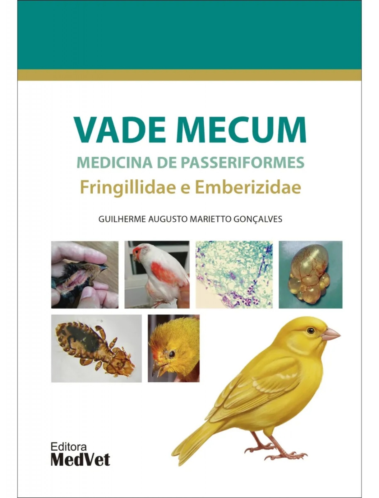 Vade Mecum Medicina De Passeriformes